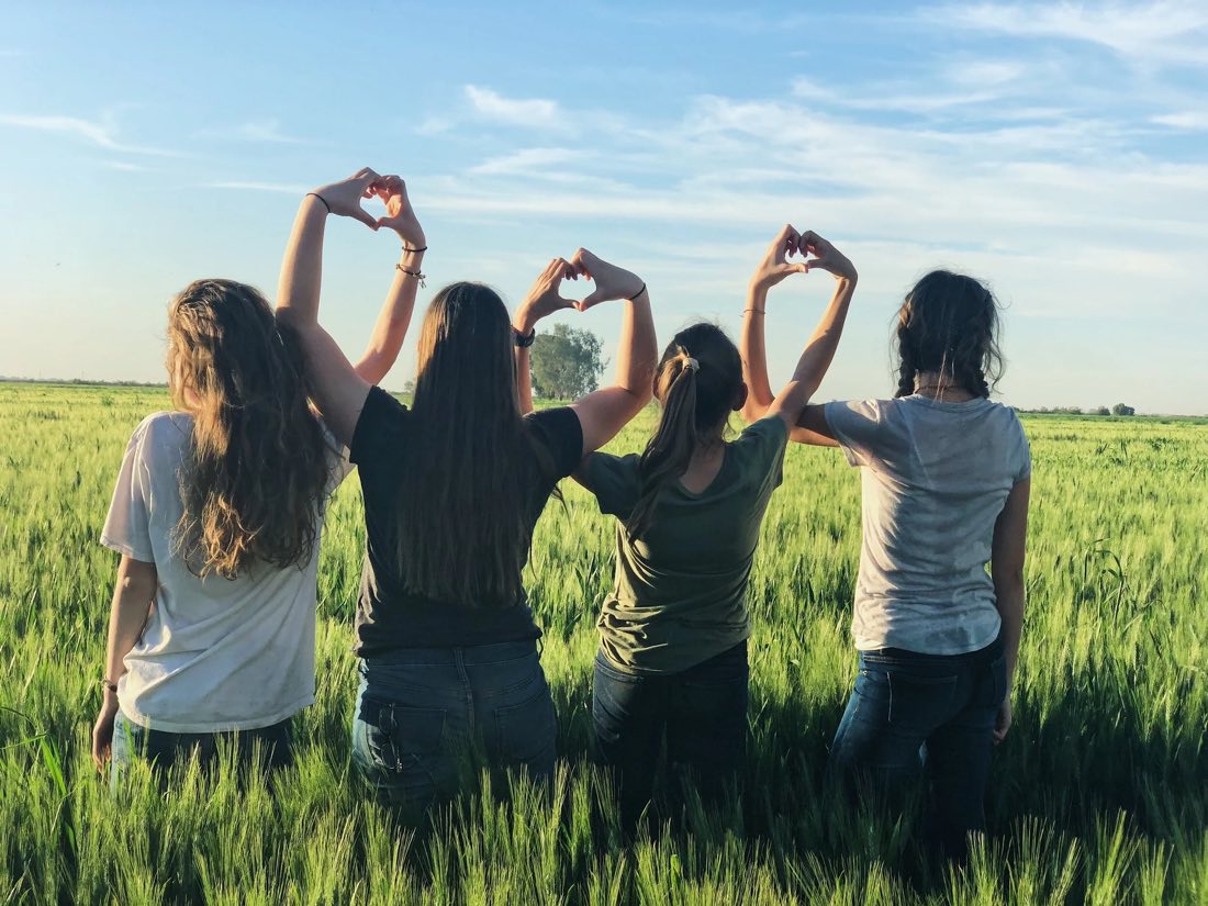 Four friends standing in a sunny field, making heart shapes with their hands toward a blue sky